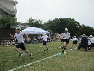 IMG_7385.jpg