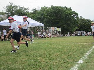IMG_7393.jpg