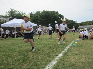 IMG_7394.jpg