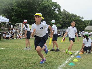IMG_7398.jpg