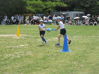 IMG_7517.jpg