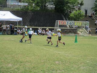 IMG_7519.jpg