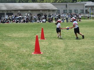 IMG_7520.jpg