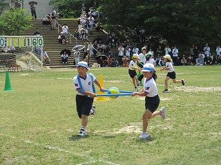 IMG_7521.jpg
