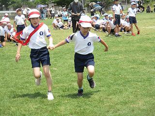 IMG_7527.jpg