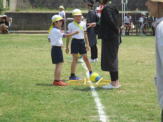 IMG_7528.jpg