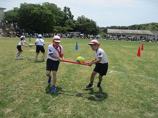 IMG_7530.jpg