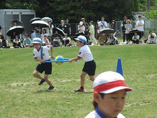 IMG_7536.jpg