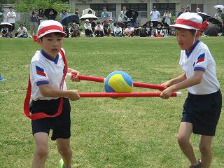 IMG_7542.jpg