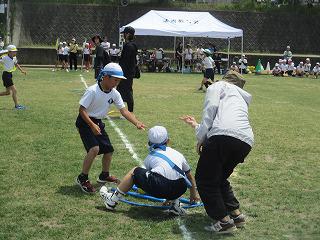 IMG_7545.jpg
