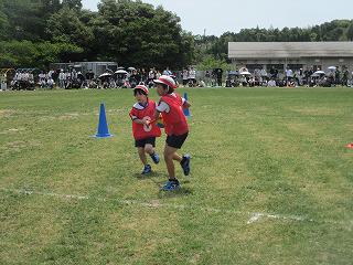 IMG_7546.jpg