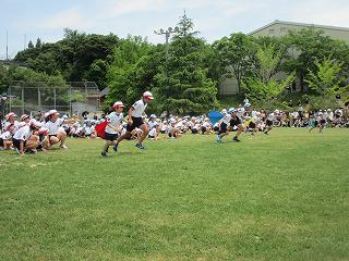 IMG_7557.jpg