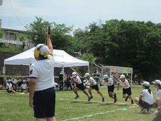 IMG_7585.jpg