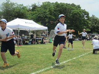 IMG_7595.jpg