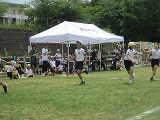 IMG_7598.jpg