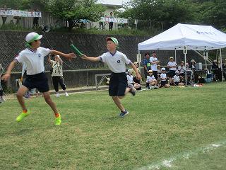 IMG_7606.jpg