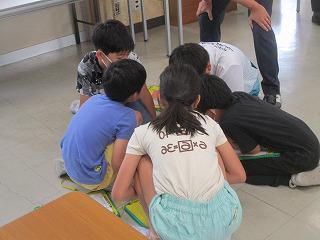 IMG_7733.jpg
