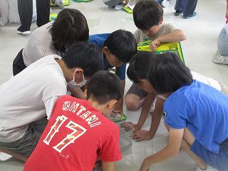 IMG_7734.jpg