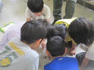 IMG_7735.jpg