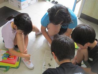 IMG_7737.jpg