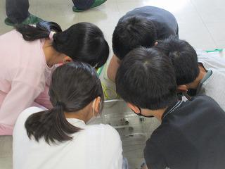 IMG_7739.jpg