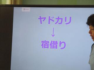 IMG_7741.jpg