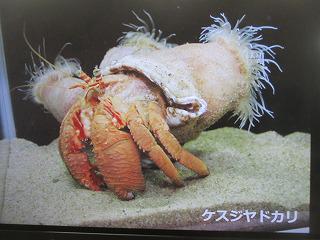 IMG_7753.jpg