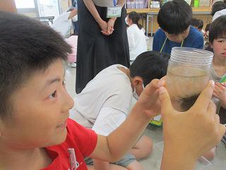 IMG_7756.jpg