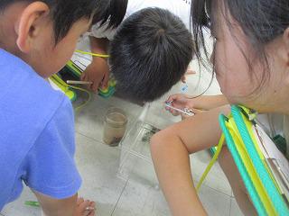 IMG_7757.jpg