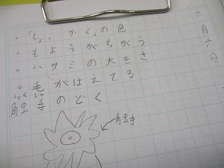 IMG_7770.jpg