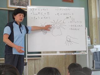IMG_7773.jpg