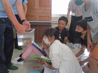 IMG_7779.jpg