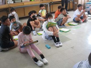 IMG_7795.jpg