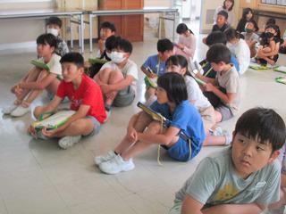 IMG_7804.jpg
