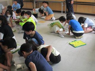 IMG_7814.jpg