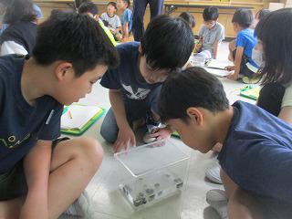 IMG_7815.jpg