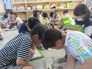 IMG_7817.jpg