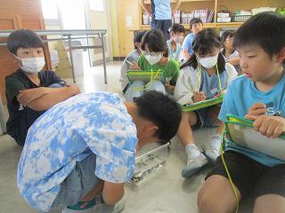 IMG_7818.jpg