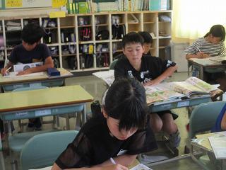 IMG_8031.jpg