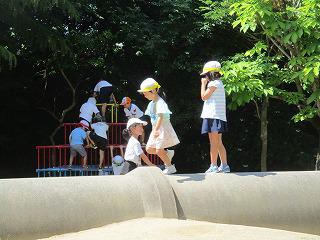 IMG_8047.jpg