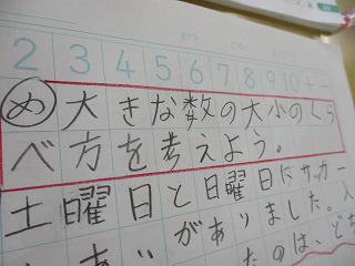 IMG_8090.jpg