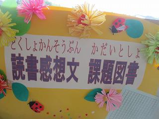 IMG_8148.jpg