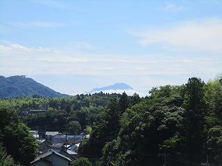 IMG_8154.jpg