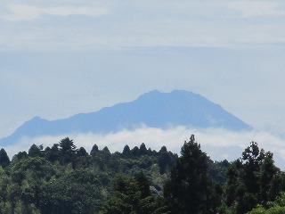 IMG_8158.jpg