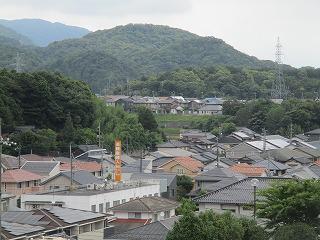 IMG_8308.jpg