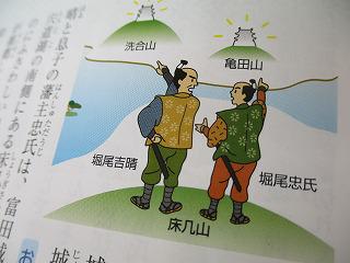 IMG_8325.jpg