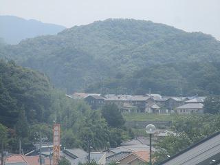 IMG_8366.jpg