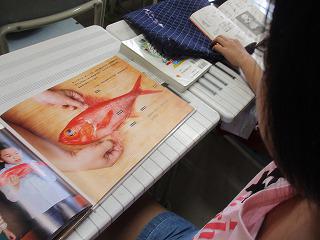 IMG_8524.jpg