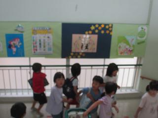 IMG_8536.jpg