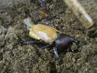 IMG_8577.jpg